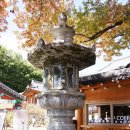 대운목재(주) | 012.[사찰] "팔공산 동화사" - 국화축제, 승시축제
