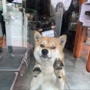 야미마라탕 네이버블로그