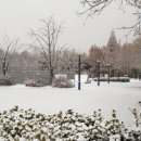 서울파크장 이미지