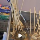 한국체대 천마 태권도장 이미지