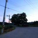 상구3리 이미지