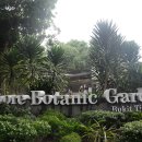 231126 Singapore Tour--------------4일차(Botanic garden Singapore ) 이미지