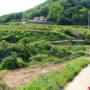 산지골민박 이미지