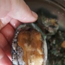 애니카랜드백석점 이미지