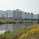 구립미림어린이집 이미지