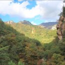 단풍 - 부여군 | 단풍