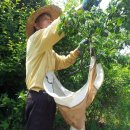 연리지농장 이미지