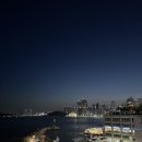 해성 카 서비스 | 부산 여행 먹방 기록 (초량밀면/해성막창/비비비당/기장끝집/피크스퀘어)
