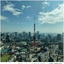 야간감성수채화 | 올해 내 인생을 바꾼 최애템 'DJI 오즈모 포켓 3' 찐사용 후기 (feat. 도쿄 &amp; 뉴욕 여행 브이로그)