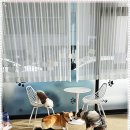 우다다댕산 이미지