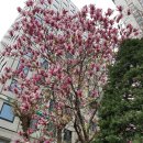 국민장례협동조합(장례묘지이장) 이미지