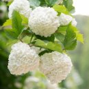 부성농장 이미지