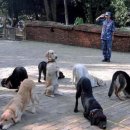 ◆＜一讀＞어르신,어떤 분이 다음 글을 보내 주셨어요 이미지