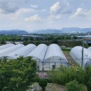 경영2농장 이미지