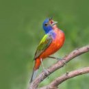 북면중앙어린이집 이미지