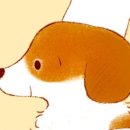 은돌이네