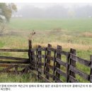 백완수농장 | 교리와 성약 읽기 모임 자료-103편