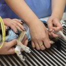 24시 건국 본 동물병원 이미지