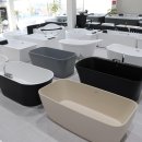 바스코리아 이미지