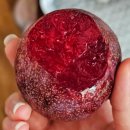 도대농장 이미지