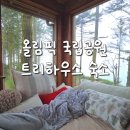 미국여행 시애틀여행 올림픽 국립공원 숙소 내돈내산 후기 - 트리하우스 Eagle's Nest Treehouse