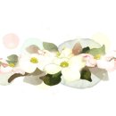 바른자세모델워킹 이미지