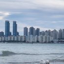 금금맥공인중개사사무소 이미지