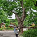 경기, 남양주&#34;봉선사&#34;사찰 이미지