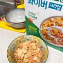 초보 독립러의 약 한달간 먹고 살았던 후기..