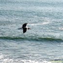 마리아 농장 이미지