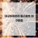 림스칼프 | [하이퀄리티 작업과 후기]대구두피관리 림스칼프 대구본점