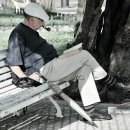 시니어 생활영어 이미지