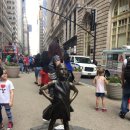 황소밧데리 이미지