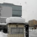 하이웨이정비 | 일본 삿포로 3박 4일 여행 🇯🇵 2일차 | 비에이 투어 | 크리스마스트리 | 탁신관 | 흰수염 폭포 | 준페이...