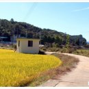 율곡농협 농산물산지유통센터 이미지