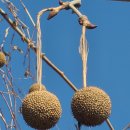 마포, 걷고싶은길 6코스 이미지