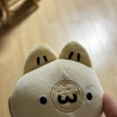 포지전자 이미지