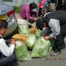 택근농장 이미지