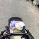 솔케어 | 부천 상동 여드름케어 솔에스테틱 부천점 방문후기