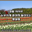 어느봄날 Daum카페