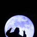 천문과학관주차장 이미지