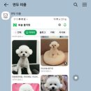그루밍051 네이버블로그