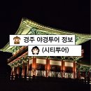 경주시티투어천마관광(주) | 경주 뚜벅이로 가볼만한 곳 야경투어 시티투어 기본정보 금액 예약방법