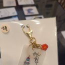 시우그리다 이미지