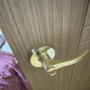 은파코아루 이미지