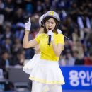 용인실내체육관 이미지