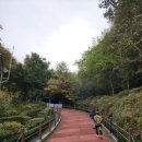 아이유치원 입구-서울경찰서자율방범연합대 | 경기도 광명시 가볼만한곳 도덕산출렁다리