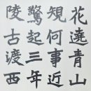 금삼인삼