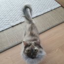 소사로748번길 이미지