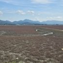 해피라이프 이미지